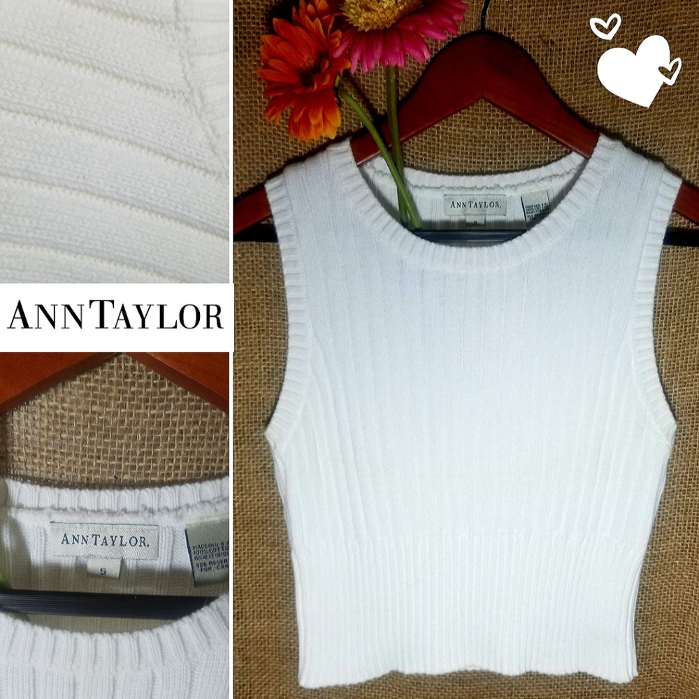 🍎 ANN TAYLOR SWEATER VEST